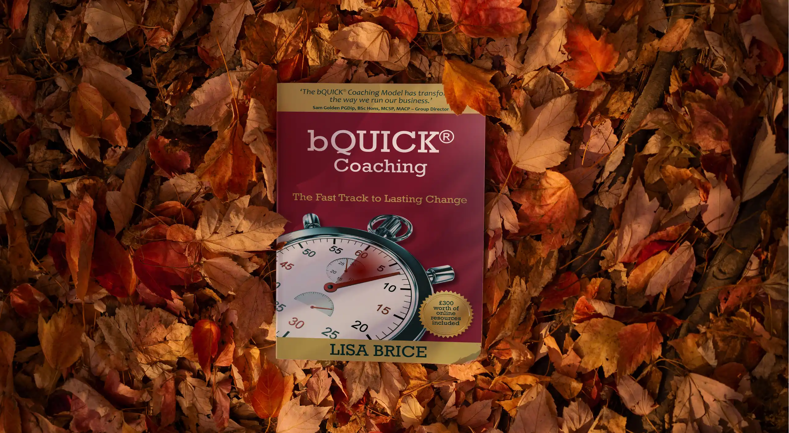 bQUICK® six simple yet transformational themes